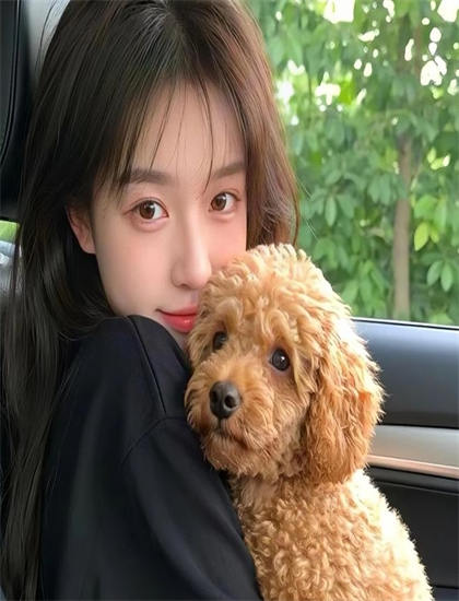 表演艺术解析：皇上，娘娘不要你了的粉丝的社群运营与互动营销 揭示人性的复杂与美好